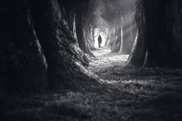 mujer caminando en el bosque profundo mágico místico - cine negro fotografías e imágenes de stock