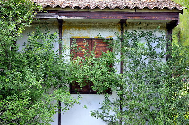 istock old weathered cottage in nature 544452146