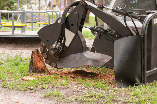 shredder for sawn wood