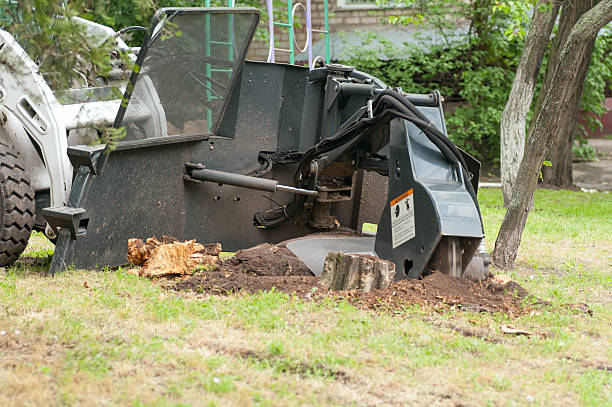 istock shredder for sawn wood 544454718