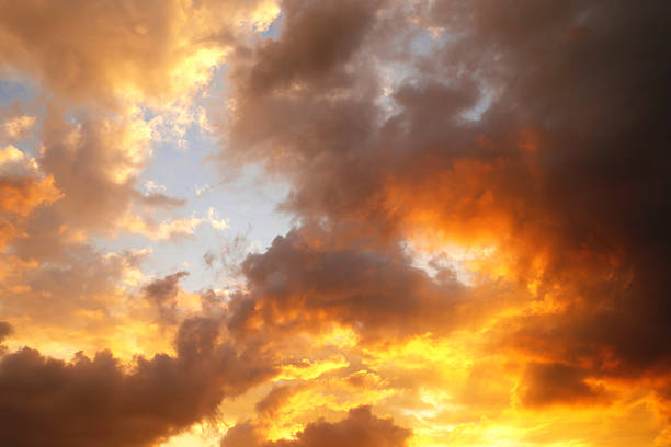 istock colorful purple sunset 544458094