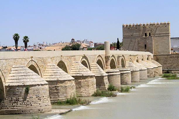 istock Roman bridge in Cordoba 544458432
