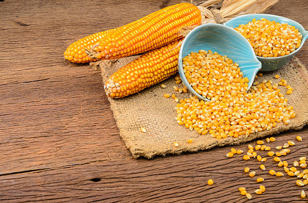 istock Dried corn in blue ceramic bowl on wooden table 544461054