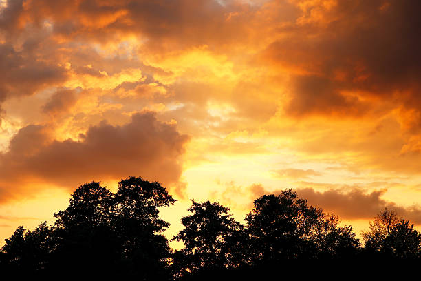 istock colorful purple sunset 544461544