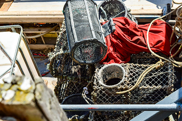 Fishing tools stock photo