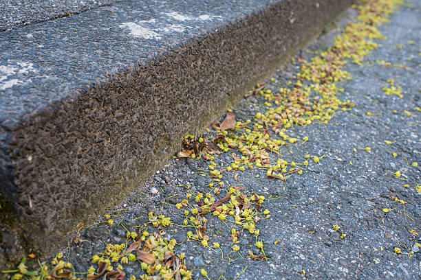 Faded flowers and pollen on a road beside a curb