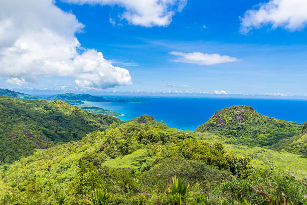 istock Tropical coast in Seychelles, Mahe 544465132