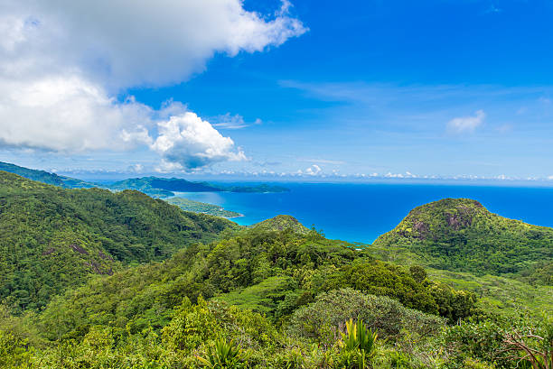 istock Tropical coast in Seychelles, Mahe 544465836