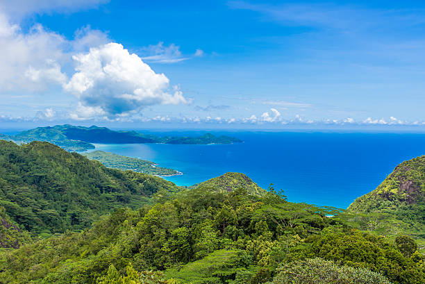 istock Tropical coast in Seychelles, Mahe 544466118
