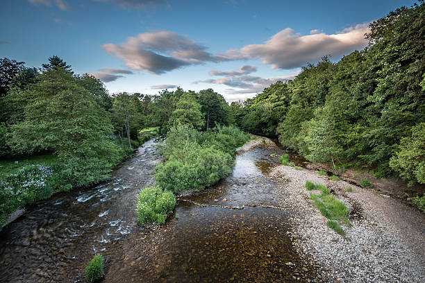 istock River Coquet from Felton Bridge 544466984