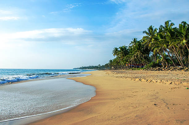 istock Untouched tropical beach in Sri Lanka 544467220
