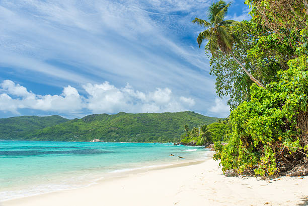 istock Tropical beach in Seychelles, Mahe 544468164