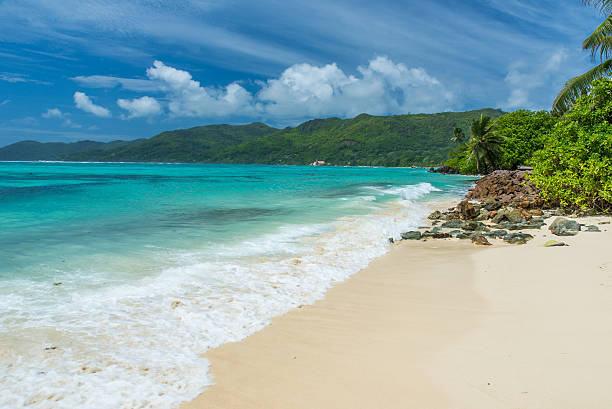istock Tropical beach in Seychelles, Mahe 544469132
