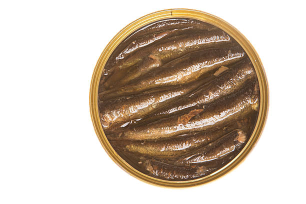 istock Open can of sprats on a isolated background 544470444
