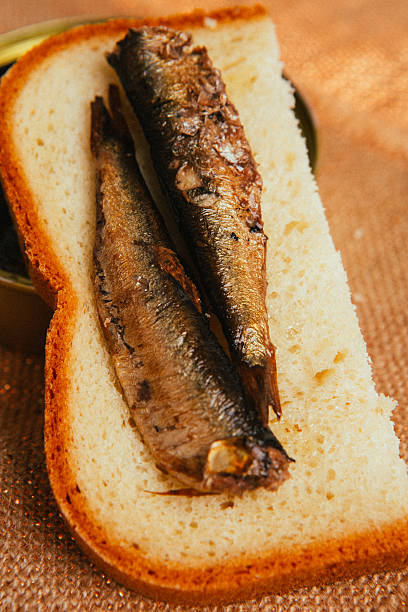 istock open can and sandwich with of sprats on sackcloth background 544470772