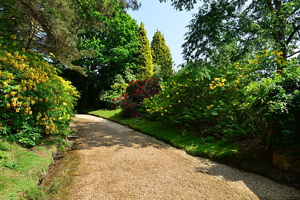 istock English country garden 544473158
