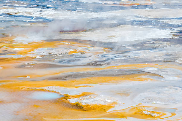 Norris Geyser Basin in Yellowstone National Park