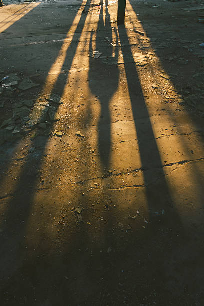 istock Shadow of a man in old,dark,abandoned building 544474982