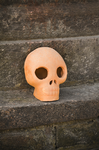 Orange little skull in cementery