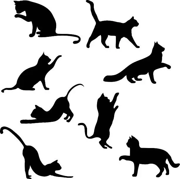 Vector illustration of Cats collection - vector silhouette