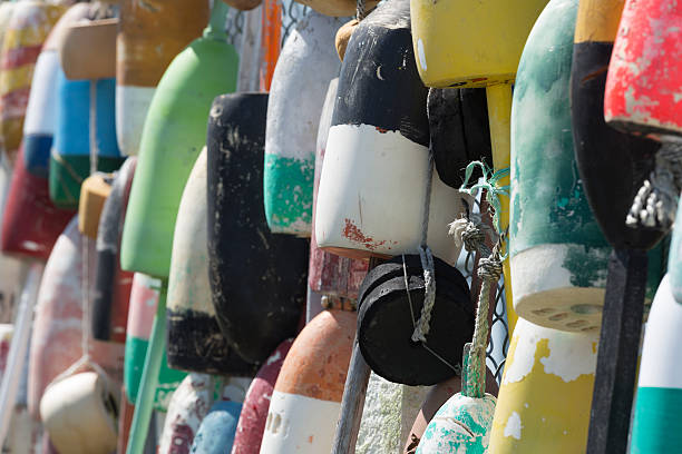 istock Lobster Bouys on Fence 544482862