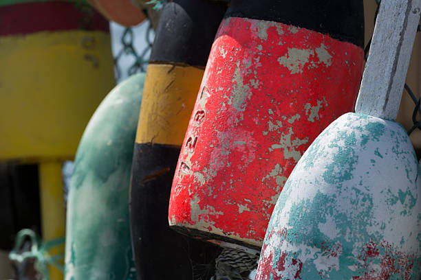 istock Lobster Bouys on Fence 544483130