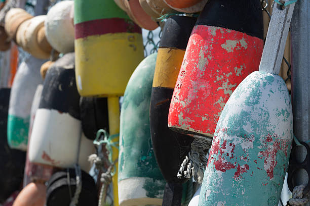 istock Lobster Bouys on Fence 544483202