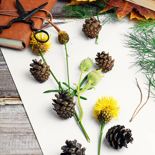 Herbarium of plants