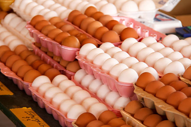 istock Eggs Display at Farmer's Market 544483890