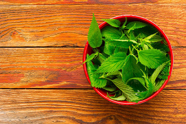 istock fresh green nettle leaves in a red bowl 544485530