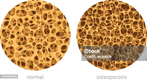 istock Bone spongy structure 544486056