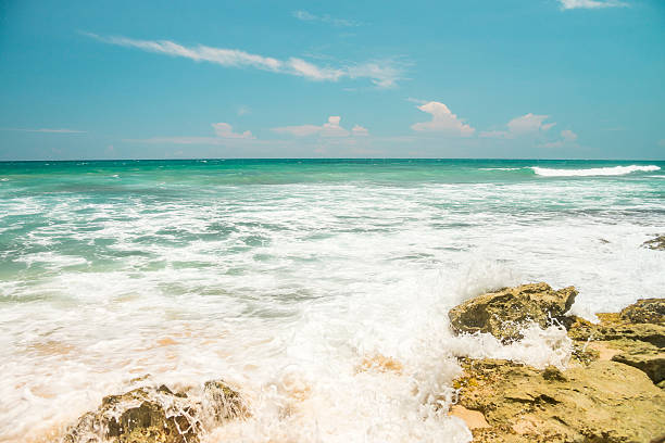 istock Nature of Asia: Sri Lanka. Sunny ocean beach. 544486716