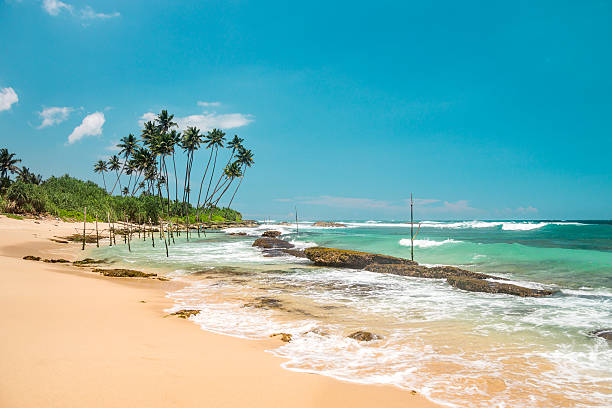 istock Nature of Asia: Sri Lanka. Sunny ocean beach. 544487206