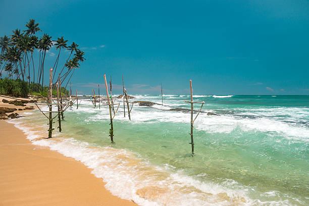 istock Nature of Asia: Sri Lanka. Sunny ocean beach. 544487728