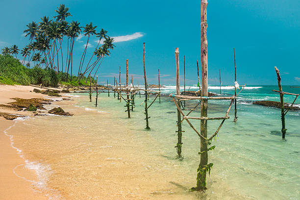 istock Nature of Asia: Sri Lanka. Sunny ocean beach. 544487950