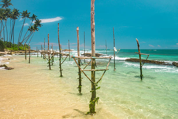 istock Nature of Asia: Sri Lanka. Sunny ocean beach. 544488028