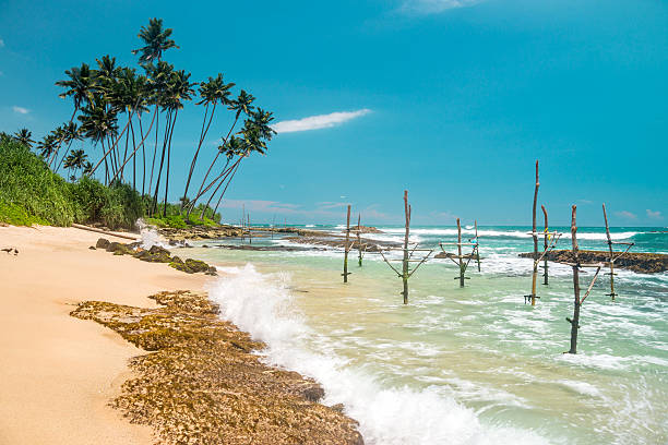 istock Nature of Asia: Sri Lanka. Sunny ocean beach. 544488240