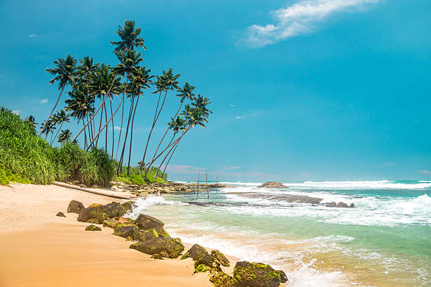 istock Nature of Asia: Sri Lanka. Sunny ocean beach. 544488466