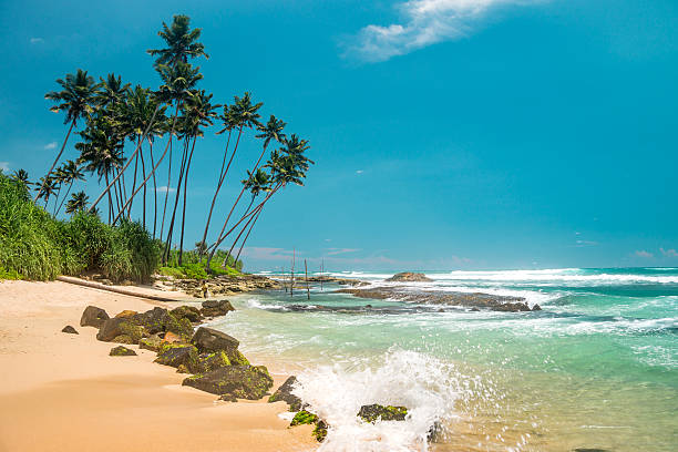 istock Nature of Asia: Sri Lanka. Sunny ocean beach. 544488514