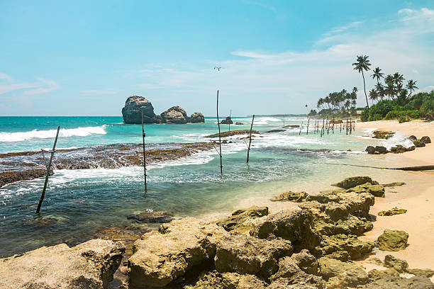 istock Nature of Asia: Sri Lanka. Sunny ocean beach. 544488826
