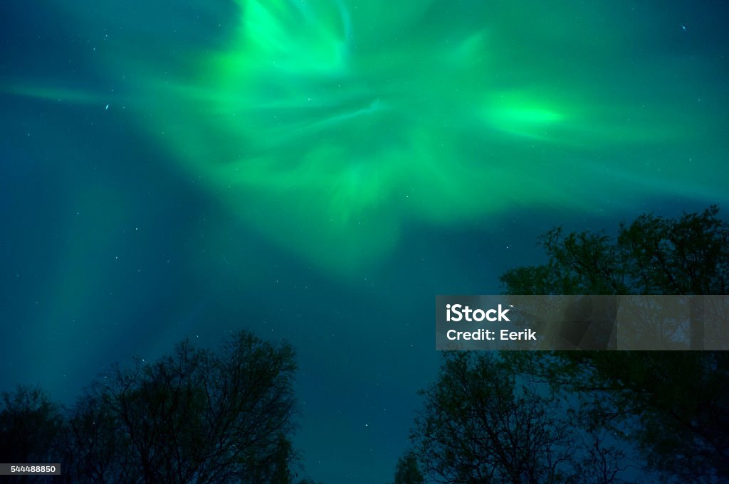 Aurora borealis corona above treetops Arctic Stock Photo