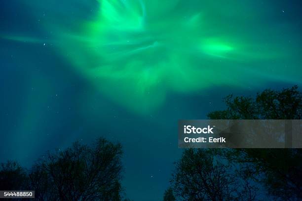 Aurora Borealis Corona Above Treetops Stock Photo - Download Image Now - Arctic, Aspirations, Atmospheric Mood