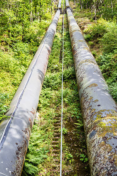 istock Two large black water pipes, converging in distance. 544489208