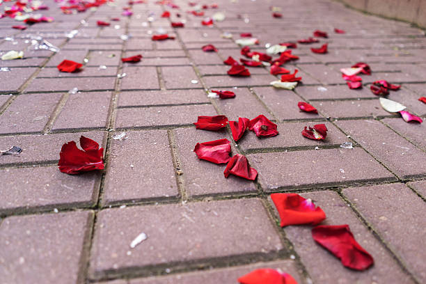 istock Rose petals on the pavement among broken glass 544489480