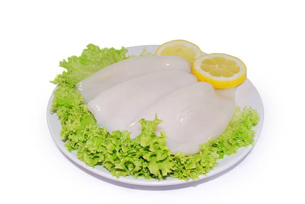 Uncooked fresh squid tubeswith lemon slices. Ocean delicacy. Isolated on a white background