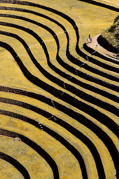 Moray, Peru - June 14, 2016: The archaeological site of Moray in the Cusco Region of Peru is at an elevation of 3,500 m (11,500 ft). The site contains unusual Inca ruins consisting of several enormous terraced circular depressions, the largest of which is approximately 30 m (98 ft) deep. As with many other Inca sites, it also has a sophisticated irrigation system. The purpose of these depressions is uncertain, but their depth, design, and orientation with respect to wind and sun creates a temperature difference of as much as 15 Â°C (27 Â°F) between the top and the bottom. It is possible that this large temperature difference was used by the Inca to study the effects of different climatic conditions on crops. Speculation about the site has led to discussion about Moray as an Inca agricultural experiment station.