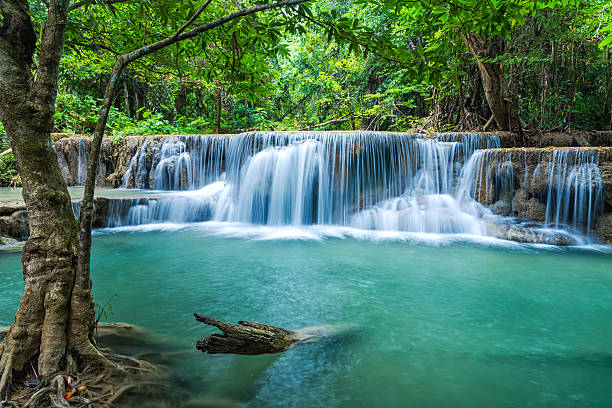 エラワン滝  - waterfall erawan tropical rainforest tree ストックフォトと画像