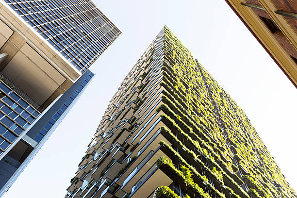 istock Vertical garden, green wall on high rise building, Sydney Australia 544565016