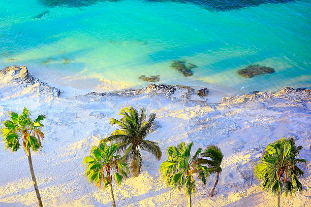 Tropical paradise sunset: Aerial Sunny Sandy caribbean palm trees beach stock photo