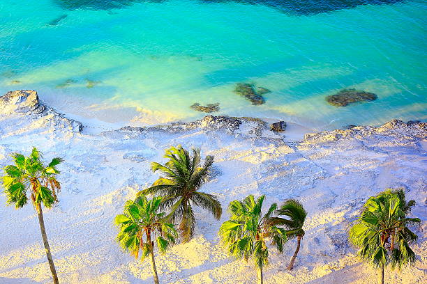 paraíso tropical pôr do sol : aérea sol palmeiras areia de praia das caraíbas - cozumel imagens e fotografias de stock